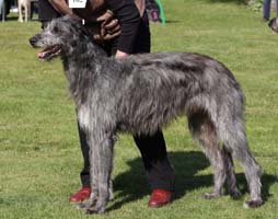 KILBOURNE HARVEY AT LORDSWELL